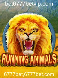 RunningAnimals: Descubra o Fascinante Mundo dos Animais em Corrida